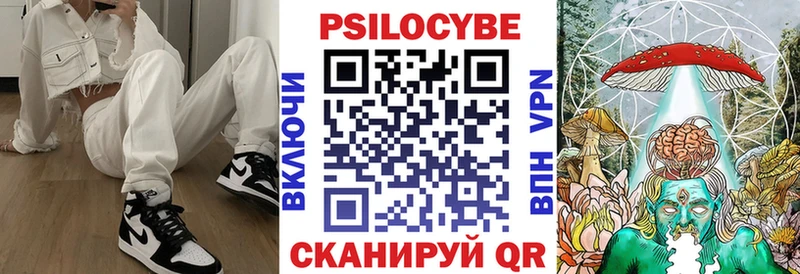 Псилоцибиновые грибы MAGIC MUSHROOMS купить закладку Верхний Тагил